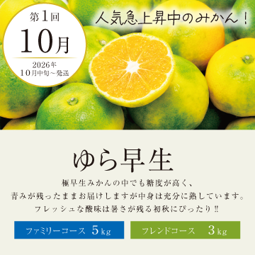 みかんページ 頒布会】2026みかん特撰便 フレンドコース: JAしみずアンテナショップ