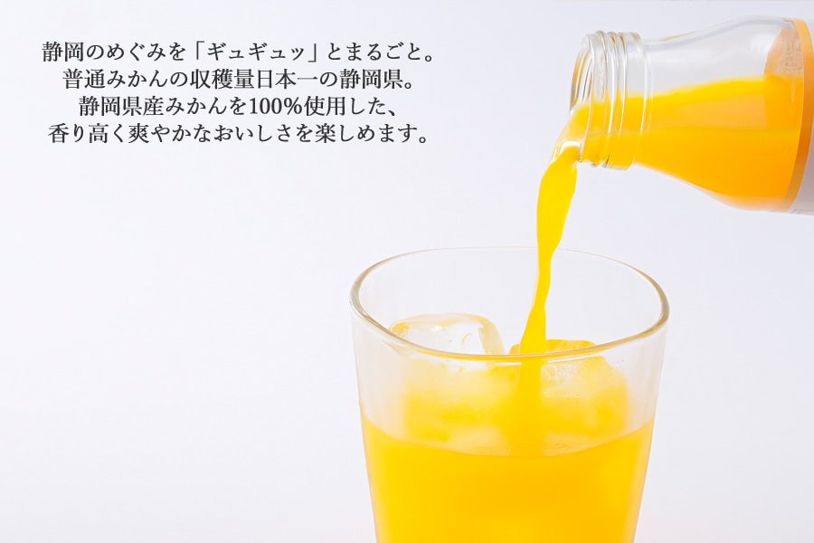 【お歳暮】静岡みかんジュース10本セット