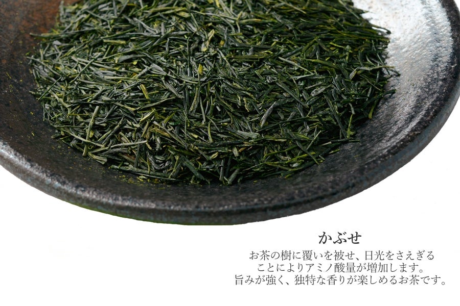 【2023年静岡新茶】　かぶせ 木箱入り茶缶