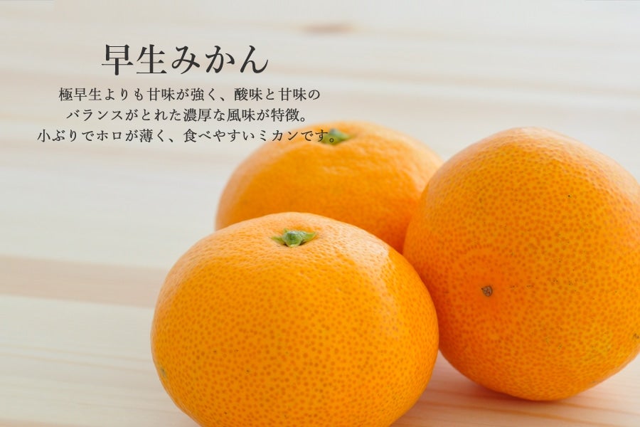 とれたて卵10㎏(Mサイズ)