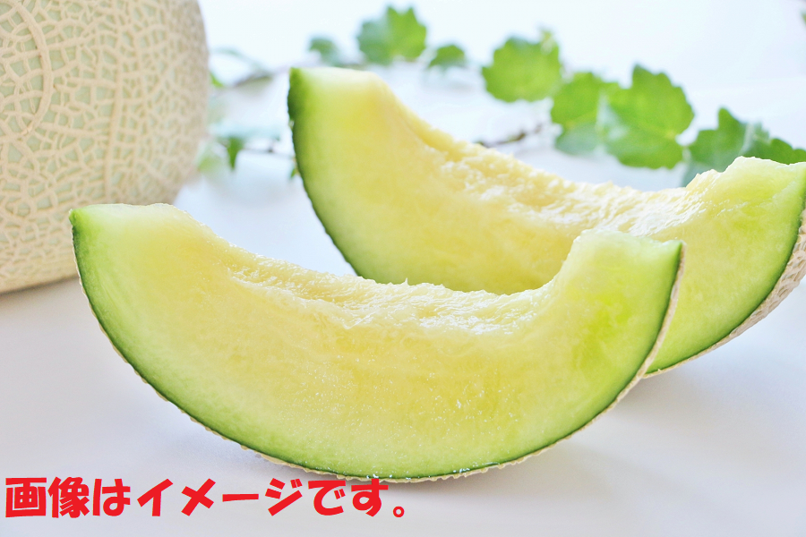 7月5日までご予約受付】静岡 アールスメロン Mサイズ【7月上旬
