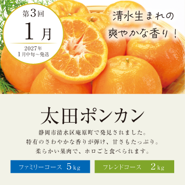 頒布会】2026みかん特撰便 ファミリーコース: JAしみずアンテナ