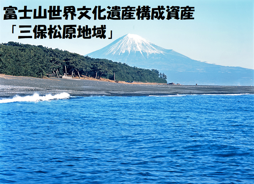 静岡 アールスメロン Sサイズ: JAしみずアンテナショップきらり