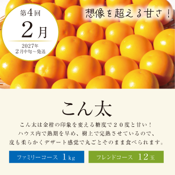 頒布会】2026みかん特撰便 ファミリーコース: JAしみずアンテナ