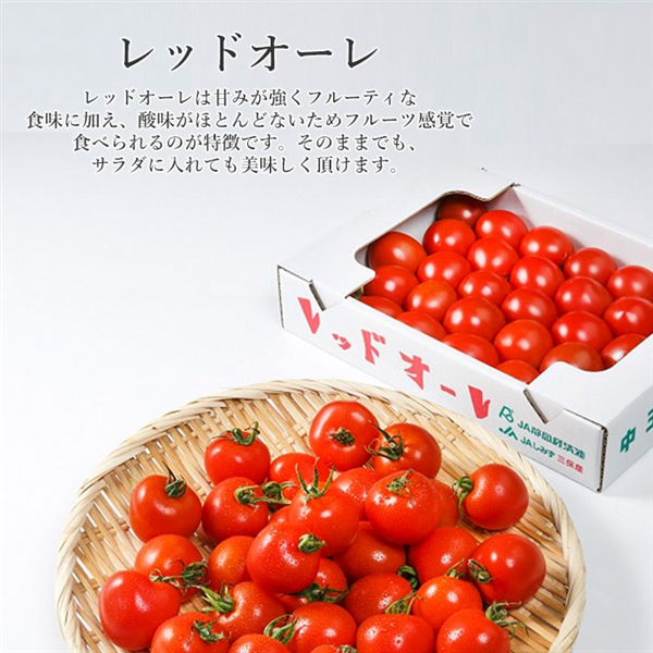 清水の旬の農産品セット(冬)