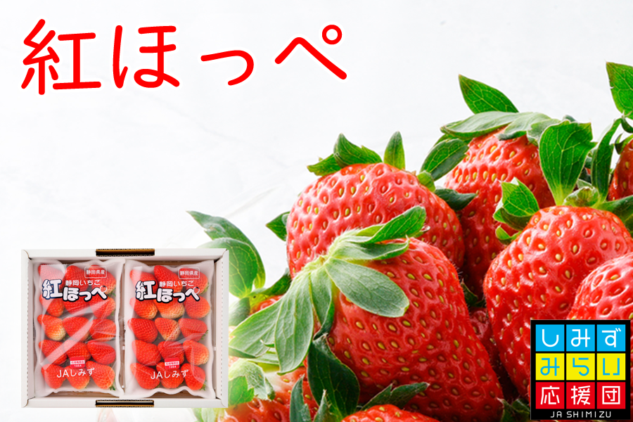 値段 紅 ほっぺ [送料無料]イチゴ：紅ほっぺ3号ポット24株セット:野菜の苗 『園芸ネット』本店