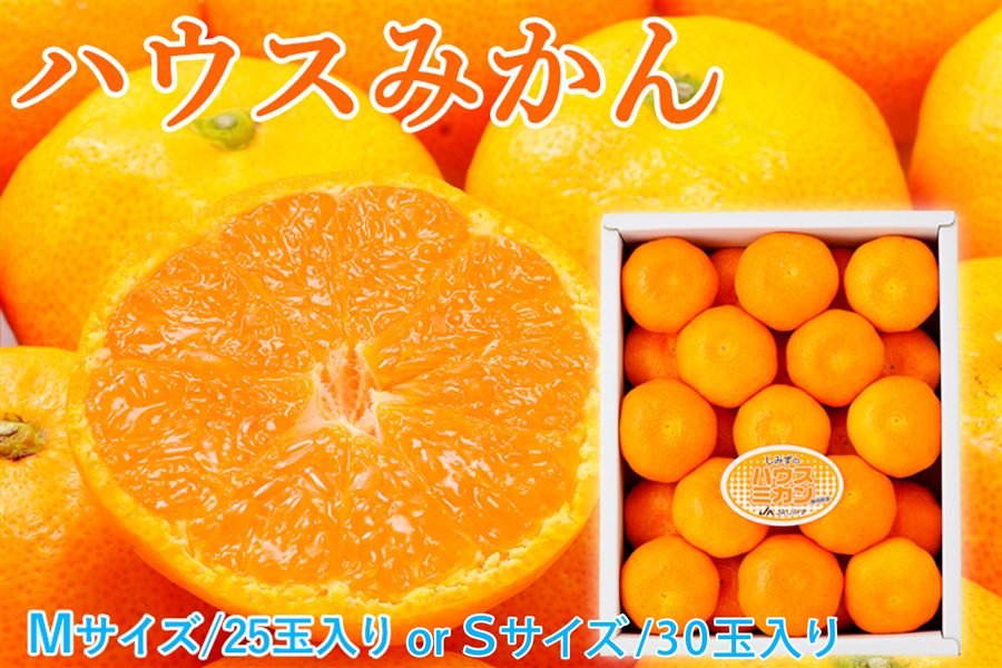 ハウスみかん 専用 お中元】【数量限定】【7月上旬から順次発送】ハウスミカンMサイズ25玉