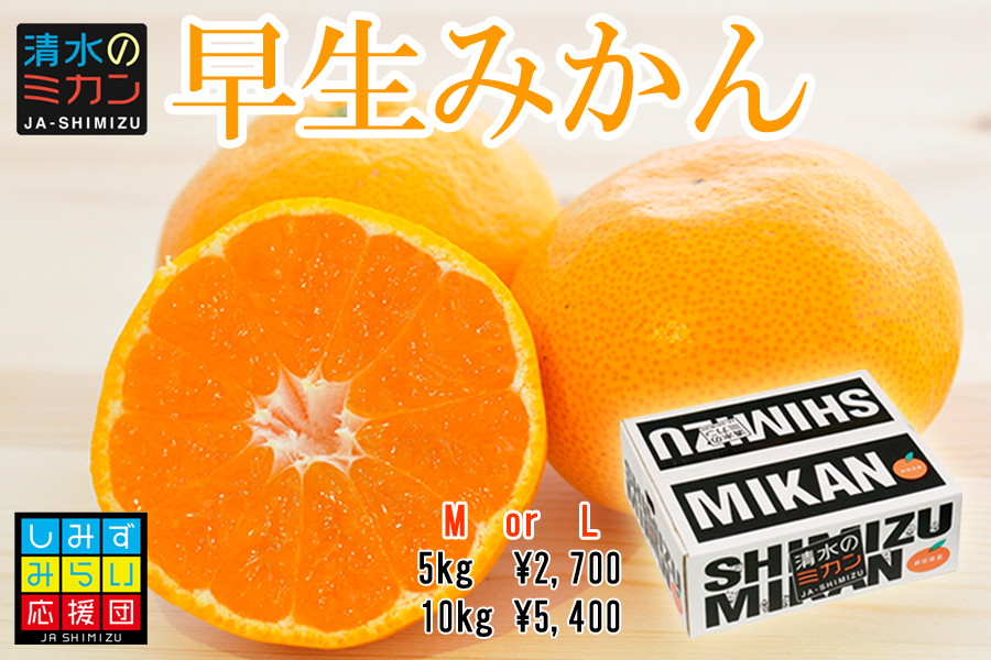 産地直送 通販 お取り寄せ早生みかん Mサイズ 10kg箱 Jaしみずアンテナショップきらり ｊａタウン