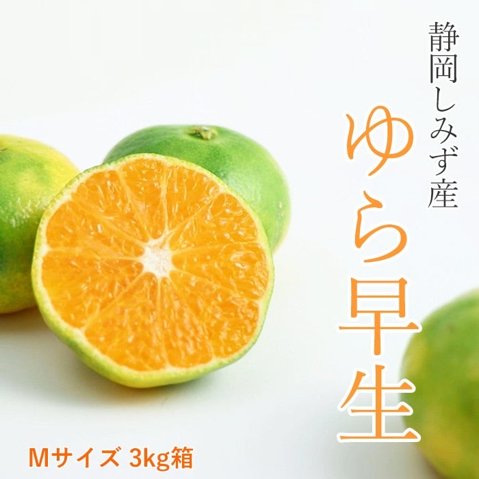 ゆらり M サイズ アクトチェア KG-457JEM1GNT1 テクスチャードメッシュ ハイバック 樹脂