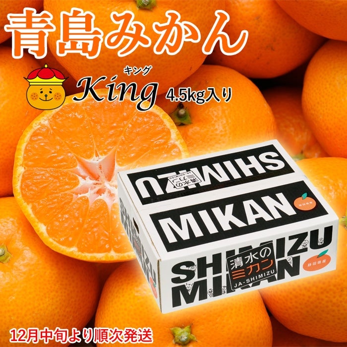 y\񏤕iE2025N12{育z݂King(LO)4.5s