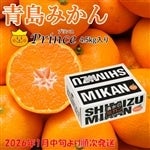 y\񏤕iE2026N1{育z݂prince(vX) 4.5s