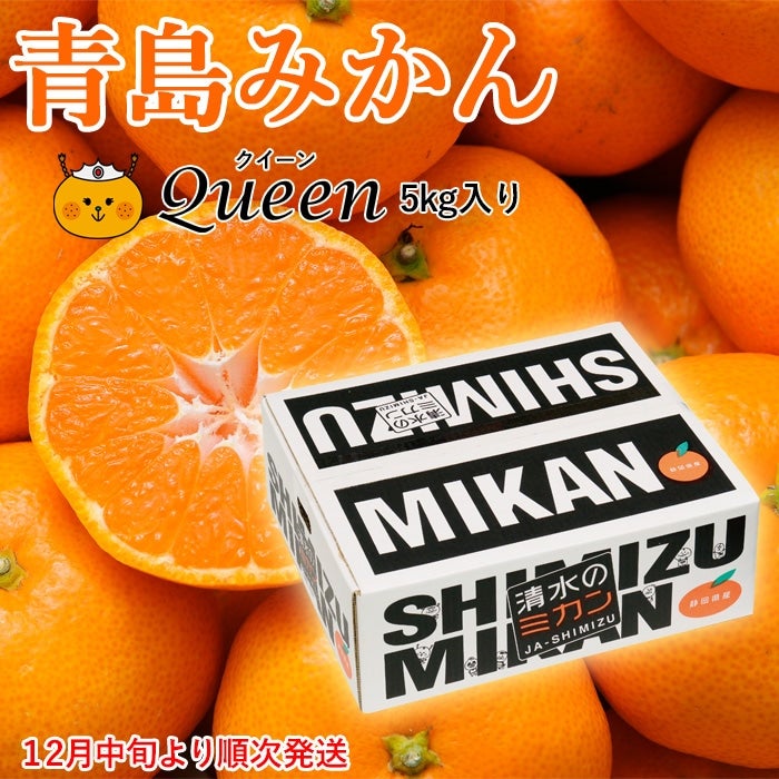 y\񏤕iE2025N12{育z݂Queen(NC[) 5s