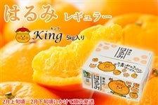 �y�\��z�y2����{������2�����{�������z�͂��King(�L���O) ���M�����[