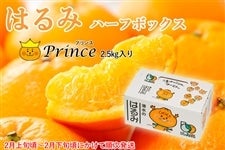 �y�\��z�y2����{������2�����{�������z�͂��Prince(�v�����X) �n�[�t�{�b�N�X