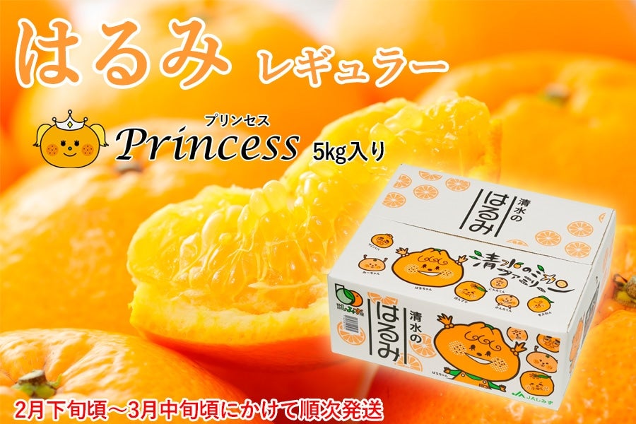 �y�\��z�y2�����{������3�����{�������z�͂��Princess(�v�����Z�X) ���M�����[