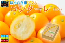 極甘キンカン こん太 コンターレ 3L 1㎏
