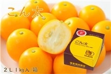 �ɊÃL���J���@���� �@2L�@1�s