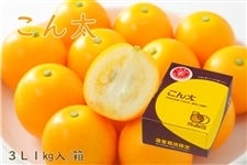 �ɊÃL���J���@���� �@3L�@1�s