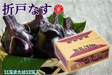 yzyƍNz܌˂Ȃ@11ʖ12ʓ