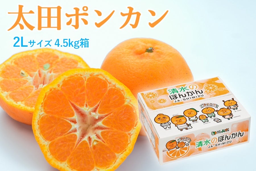 �y1��8������菇�������z���c�|���J���QL 4.5�s ��