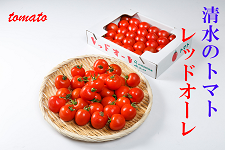 静岡清水産　レッドオーレ　トマト　30玉入り