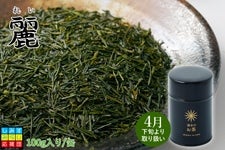 【2023年静岡新茶】　麗（れい）100ｇ茶葉／茶缶