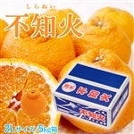 �É������Y�@�s�m�΁i����ʂ��j