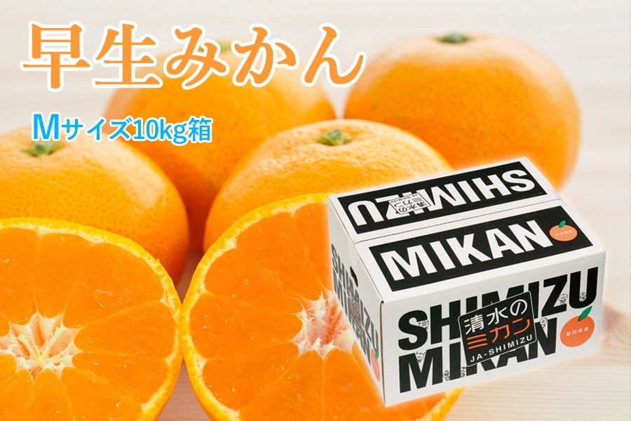 【11月中旬より順次発送】早生みかん Mサイズ 10kg箱