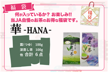 �i�N���������j���܁@��-HANA-