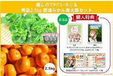 ����������ު��(R) ���G�i2.5kg ���Y�݂�������Y�Z�b�g