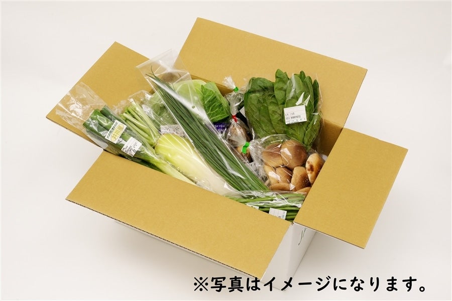 旬の贈り物〜新鮮野菜詰め合わせ〜