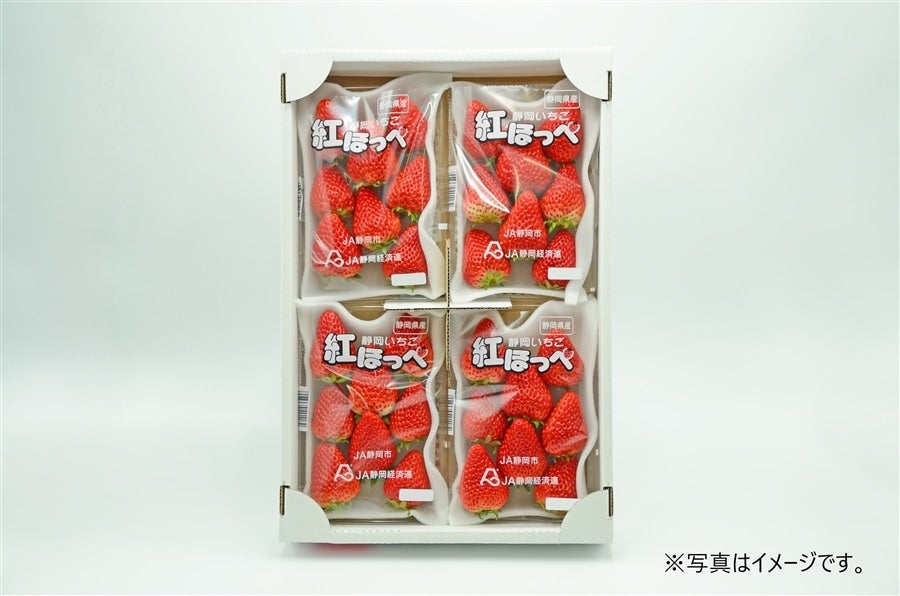 JA静岡市】静岡いちご 紅ほっぺ DX 4パック入: ブランドショップ
