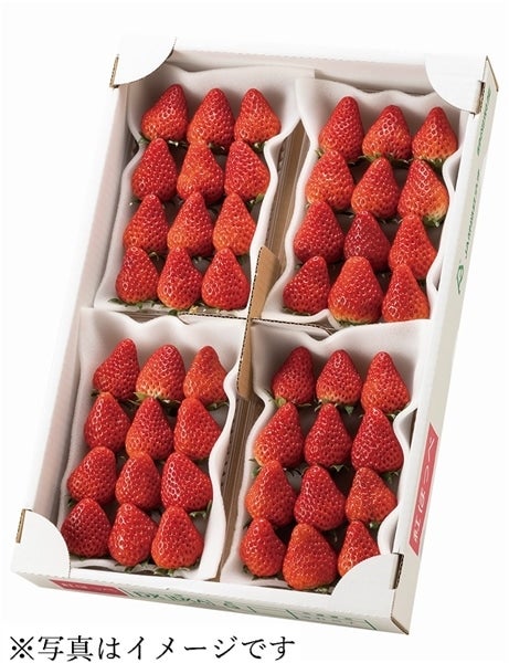 【JA静岡市】静岡いちご 紅ほっぺ DX 4パック入