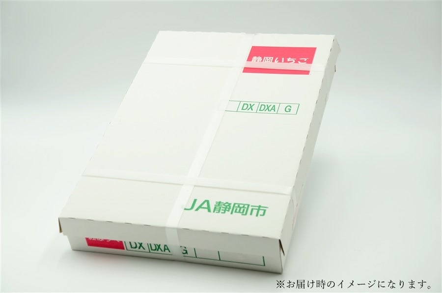 【JA静岡市】静岡いちご 紅ほっぺ DX 4パック入