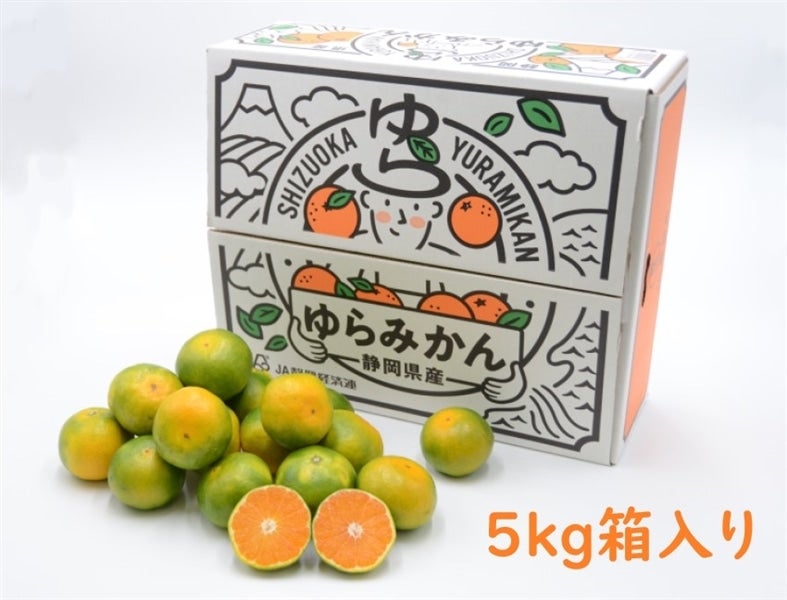 【数量限定】JA静岡市 ゆら頂 5kg(M・L)