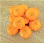   �y���ʌ���zJA�É��s�@�͂�݁@5�����iL�T�C�Y�j