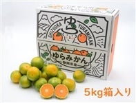 yʌzJAÉs@璸@5iMELj