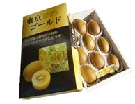 JAÉs@S[hiLECt[c@ϔ11ʓj