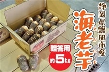 CV 5kgbpbÉY ֓cs  Yʓ{