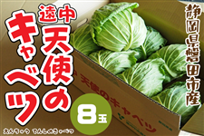 ���� �V�g�̃L���x�c 8�ʁb�����x�L���x�c �É����Y