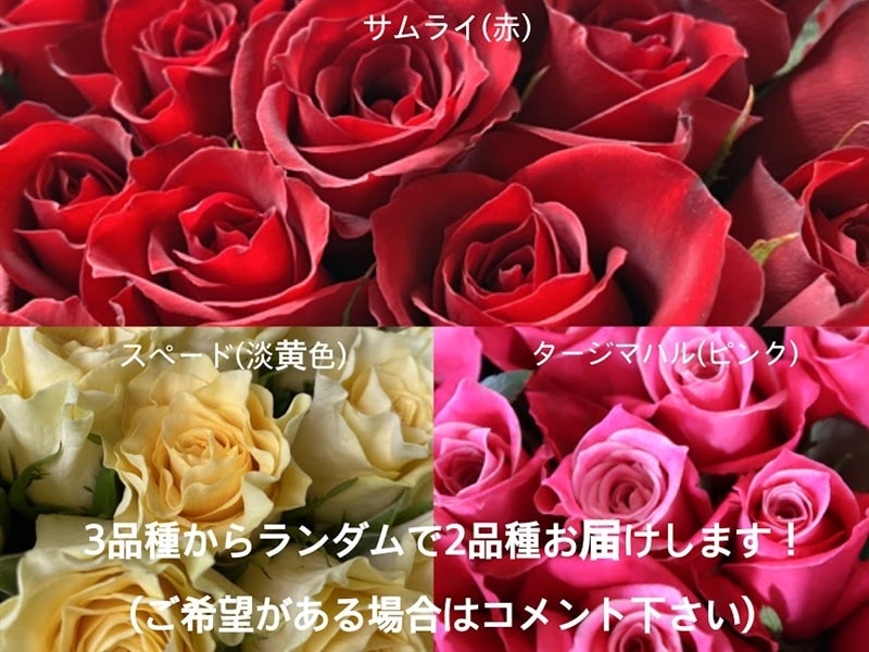 お歳暮】 【※配送地域限定】～山本さん家のバラ～ 2色20本ミックス