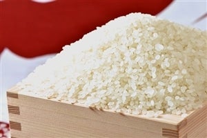 平成29年度産 マイマイ米 15kg: あいちゴコロ|【JAタウン