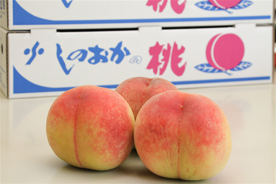 しのおかの桃 日川白鳳（秀品22玉入り）: あいちゴコロ|【JAタウン