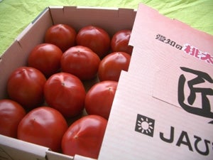 匠トマト 約1.8kg(12～16玉): あいちゴコロ|【JAタウン】産地直送
