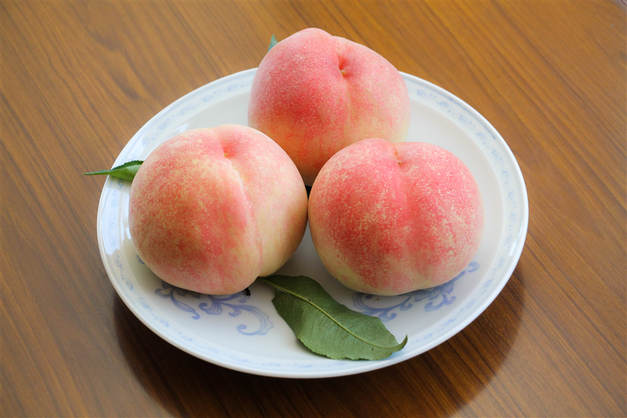あい様 家庭用桃2箱 専用ページ しのおかの桃 白鳳（秀品22玉入り）: あいちゴコロ|【JAタウン】産地
