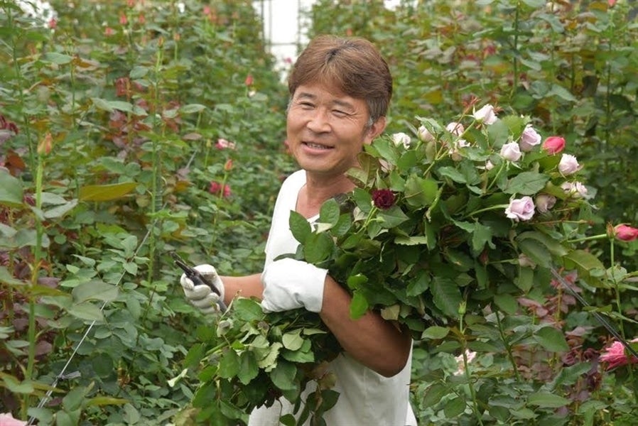 お歳暮】 【※配送地域限定】～山本さん家のバラ～ 2色20本ミックス