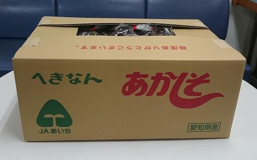 碧南の赤しそ (約300g×10袋 ): あいちゴコロ|【ＪＡタウン】産地直送