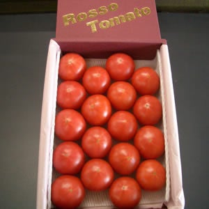 寒冷地用クール便】ロッソトマト 約1.8kg: あいちゴコロ|【JAタウン