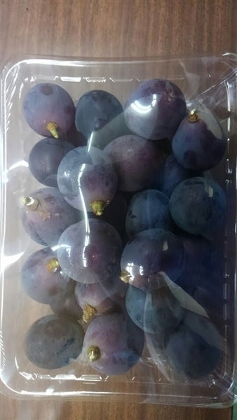 規格外だけど味は秀品以上の自信あり！！☆種なし巨峰☆8パック