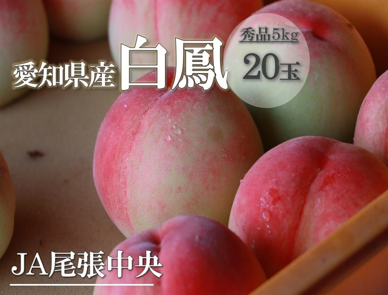 しのおかの桃 白鳳（秀品20玉入り）: あいちゴコロ|【JAタウン】産地